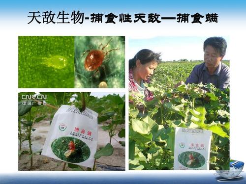 2生物农药的发展现状及趋势分析-中国农科院植保所邱德文