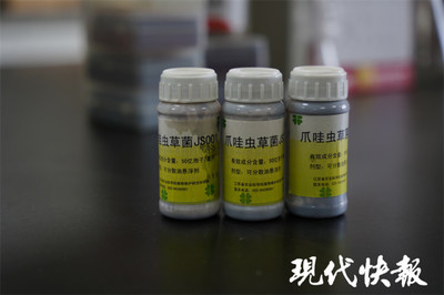 历经十余年攻关,江苏省农科院研发出新型生物农药